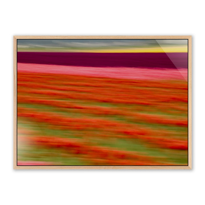 Blurred Flowers Ii By Geoffrey Baris - 24"X18" - White Oak - Framed Metal