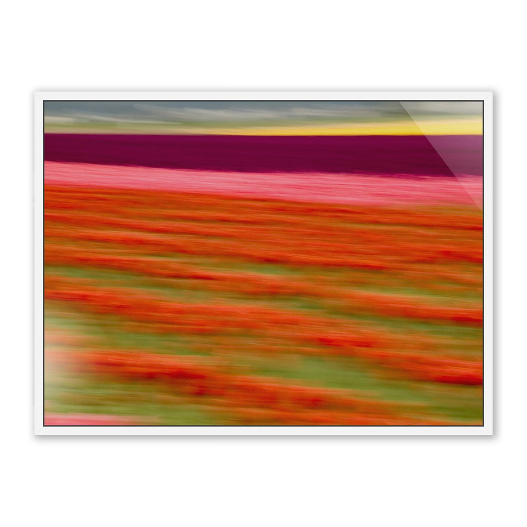 Blurred Flowers Ii By Geoffrey Baris - 32"X24" - White Maple - Framed Metal