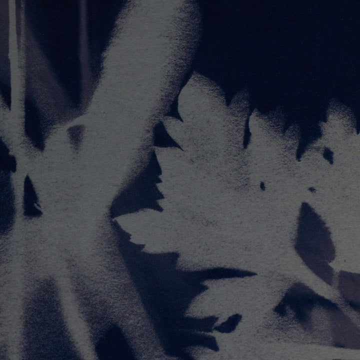 Cyanotype Botanical I By Coup D'Esprit - 24"X32"