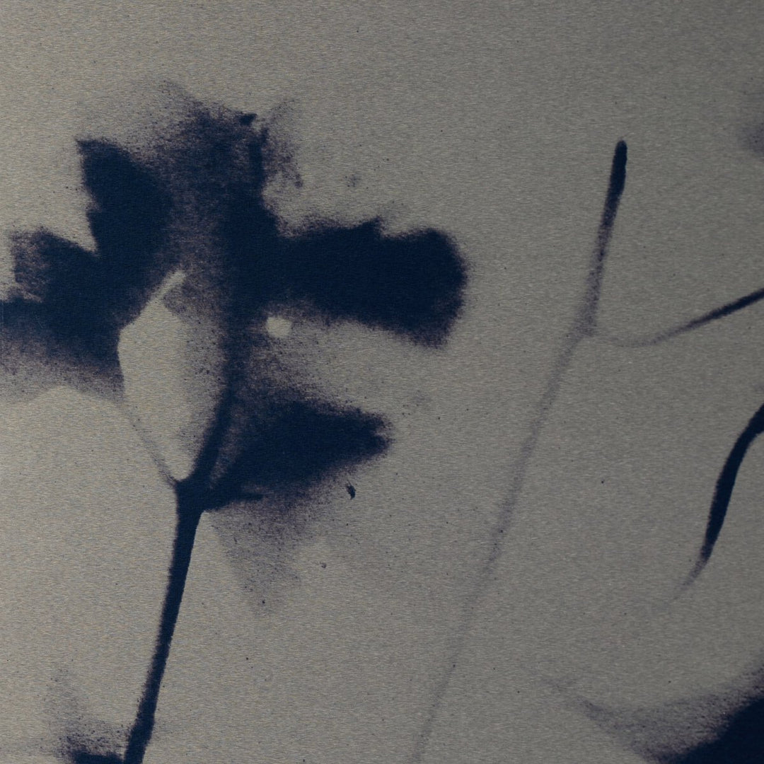 Cyanotype Botanical Ii By Coup D'Esprit - 18"X24"