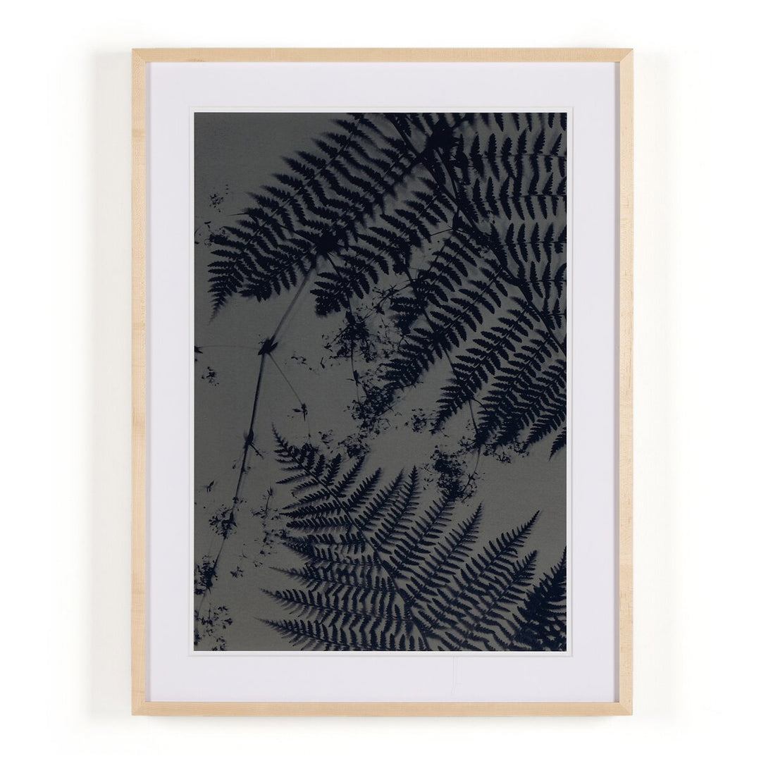 Cyanotype Botanical Iii By Coup D'Esprit - 18"X24"