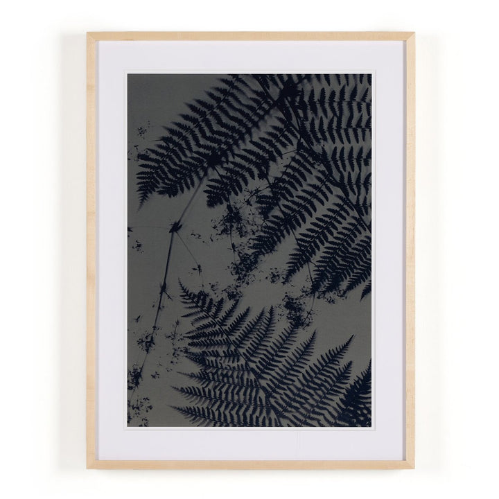 Cyanotype Botanical Iii By Coup D'Esprit - 24"X32"