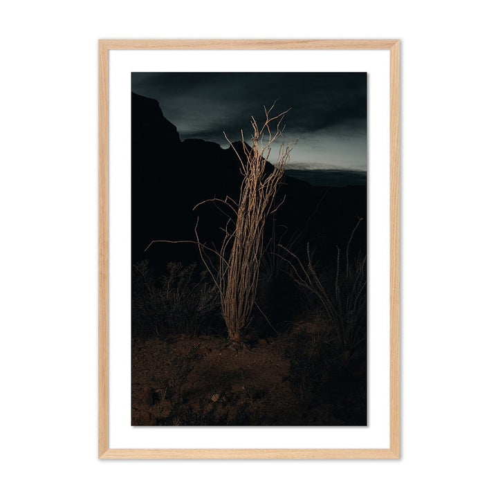 Ocotillo Ii By Mandy Steinback - 28.5"X40" - White Oak - Framed Paper