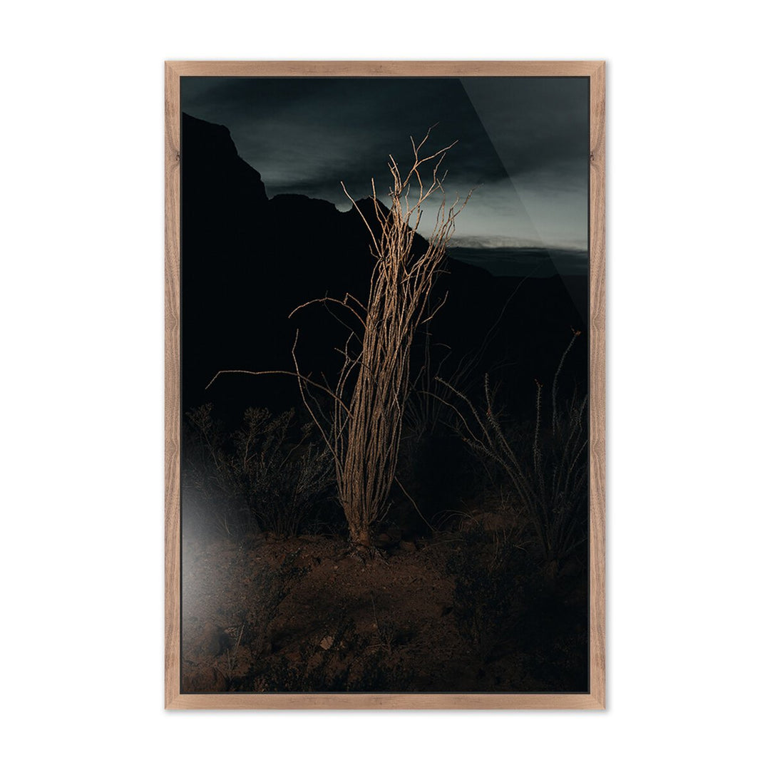 Ocotillo Ii By Mandy Steinback - 21.75"X32" - Rustic Walnut - Framed Metal