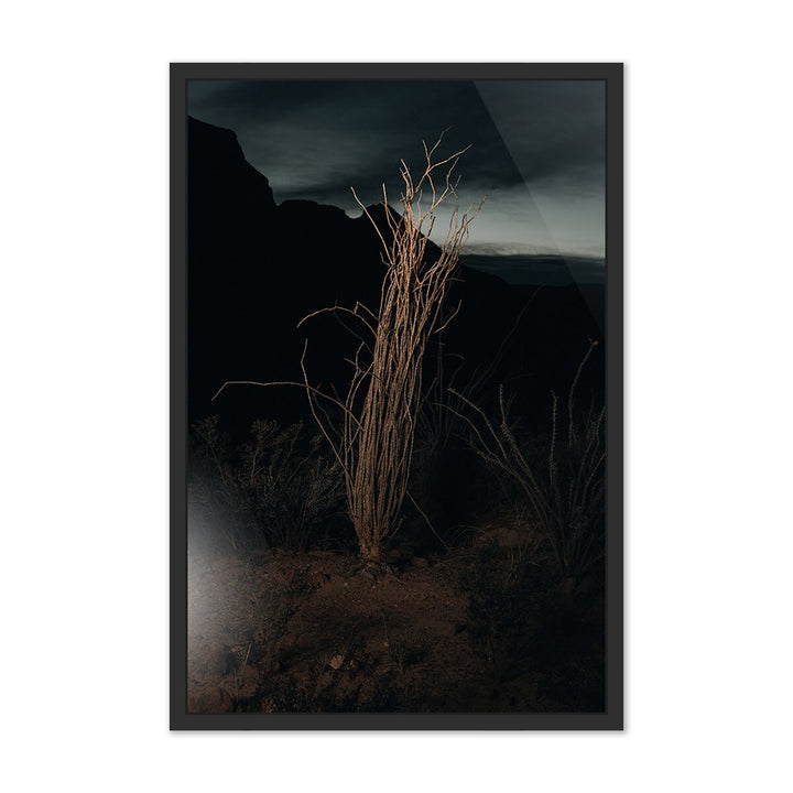 Ocotillo Ii By Mandy Steinback - 16.25"X24" - Black Maple - Framed Metal