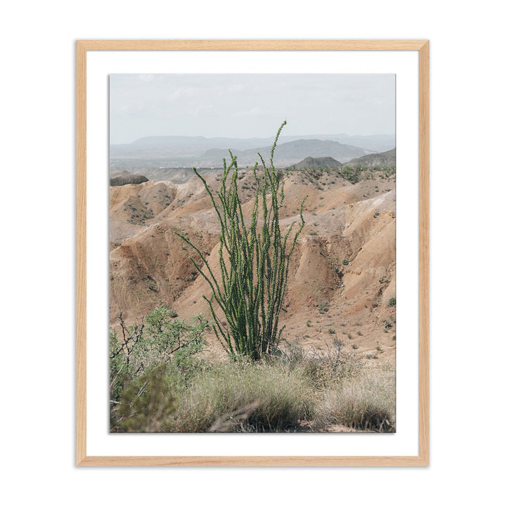 Ocotillo By Mandy Steinback - 33"X40" - White Oak