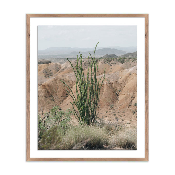 Ocotillo By Mandy Steinback - 26.5"X32" - Rustic Walnut