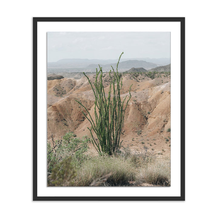 Ocotillo By Mandy Steinback - 26.5"X32" - Black Maple