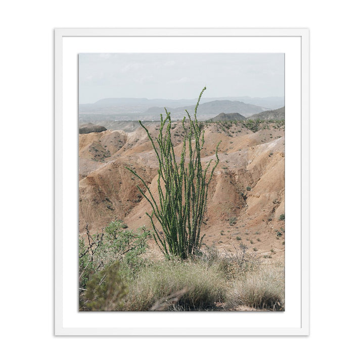 Ocotillo By Mandy Steinback - 26.5"X32" - White Maple