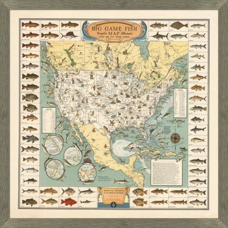 Big Game Fish-Wendover-WEND-24774-Wall Art-1-France and Son