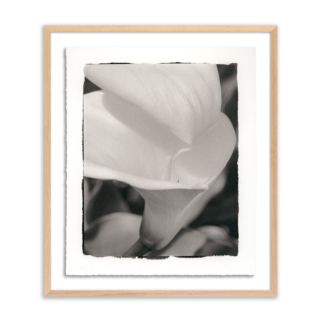 Calla Lily By Platinum Revival - 20.5"X24" - White Oak