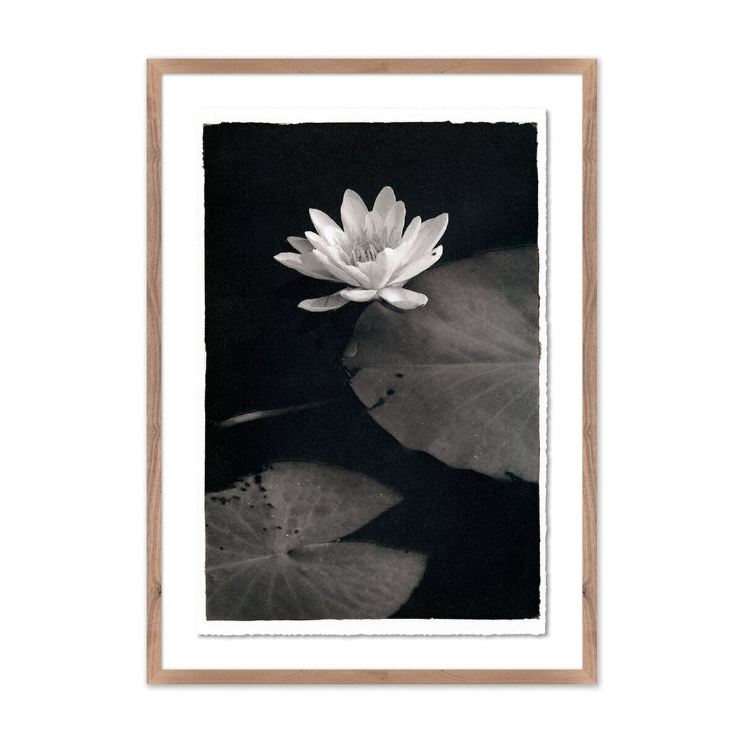 Water Lilly - Kozo By Platinum Revival - 23"X32" - Rustic Walnut