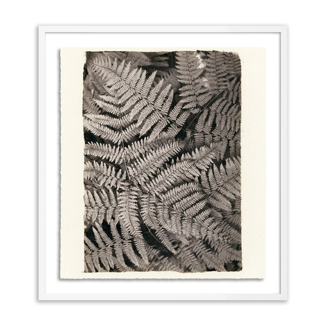 Fern By Platinum Revival - 47.5"X60" - White Maple