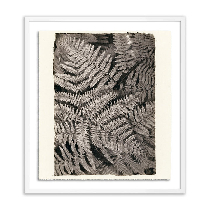 Fern By Platinum Revival - 19.5"X24" - White Maple