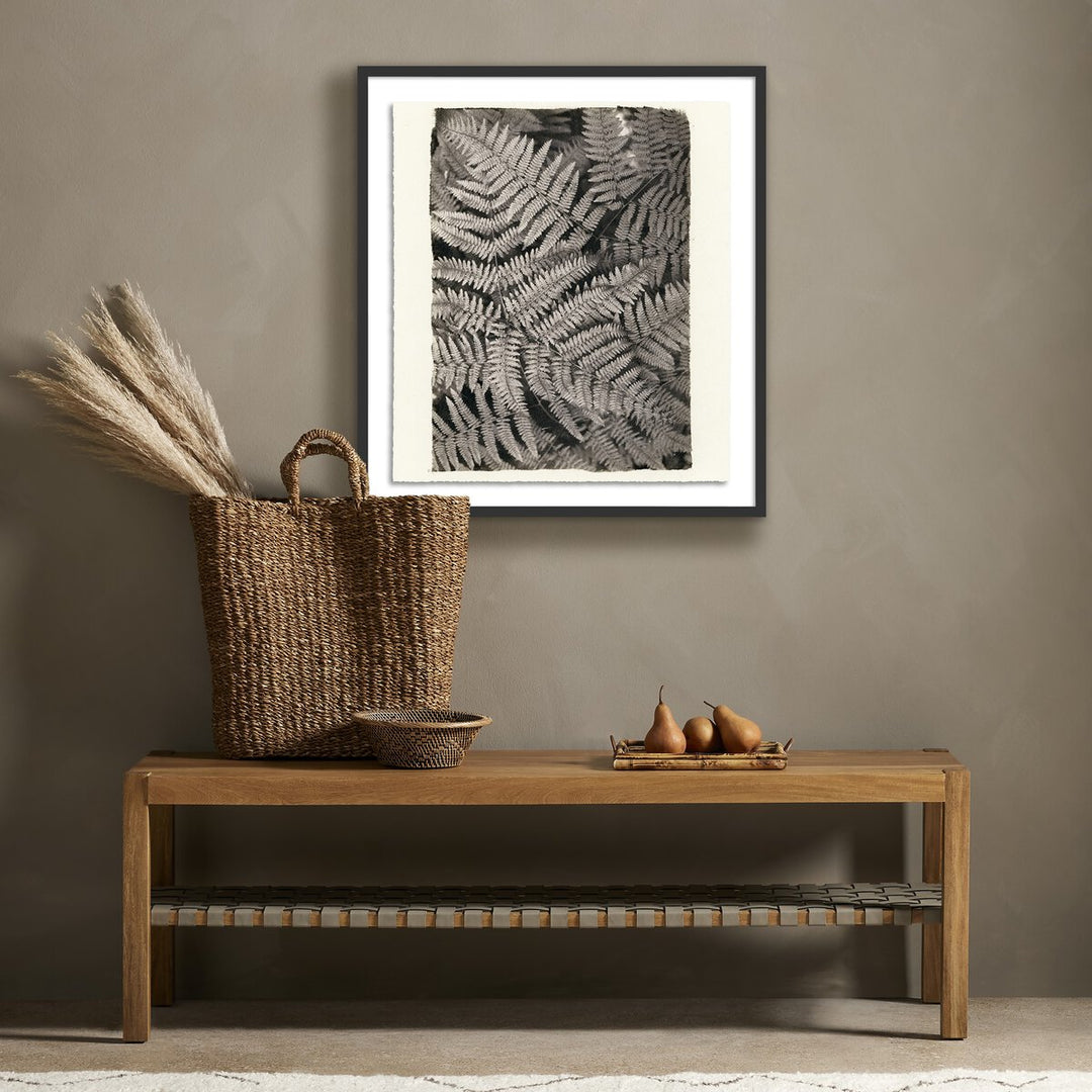 Fern By Platinum Revival - 25.5"X32" - Black Maple