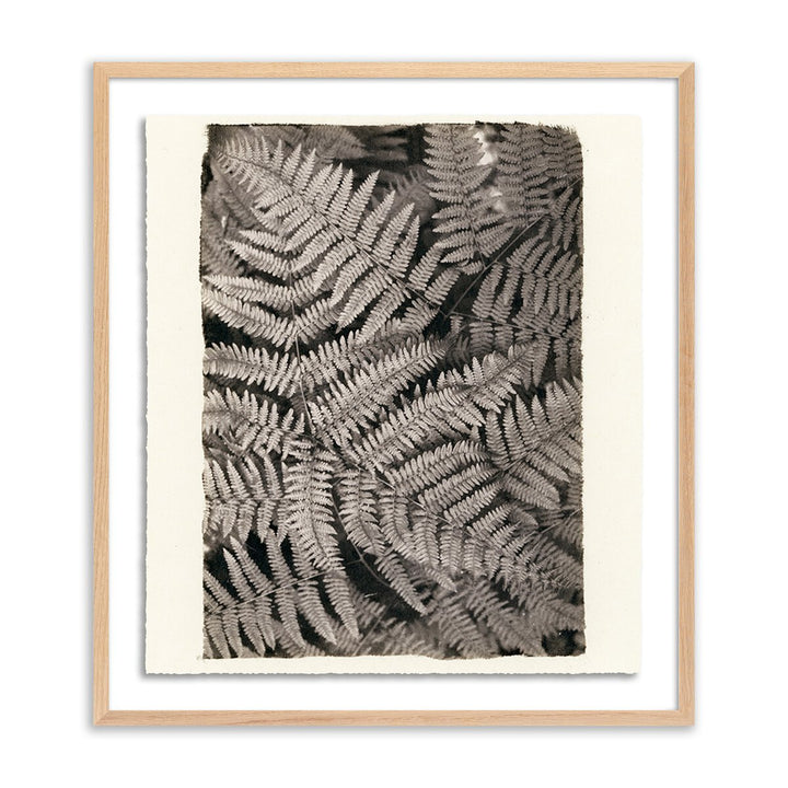 Fern By Platinum Revival - 25.5"X32" - White Oak