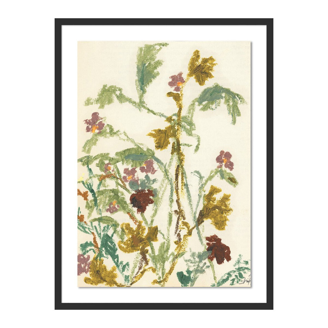 Meadow Rue 1 By Shaina Page - 24"X32" - Black Maple - Framed Paper