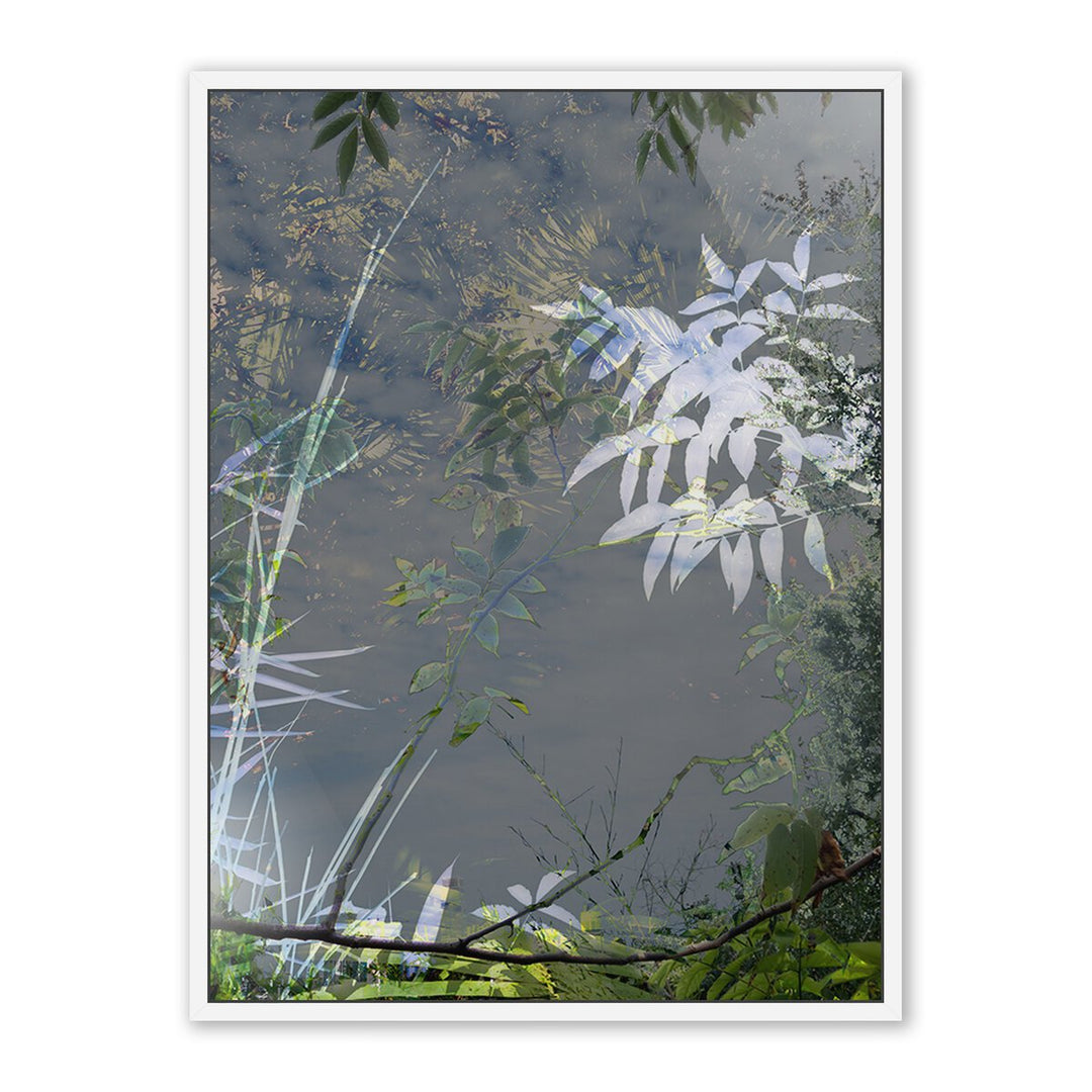 Imagine By Fountain Grass Studios - 40"X60" - White Maple - Framed Metal