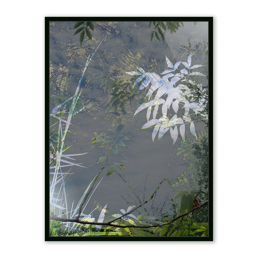 Imagine By Fountain Grass Studios - 36"X48" - Black Maple - Framed Metal