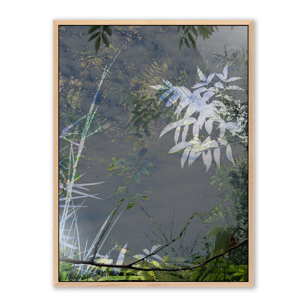 Imagine By Fountain Grass Studios - 40"X60" - White Oak - Framed Metal