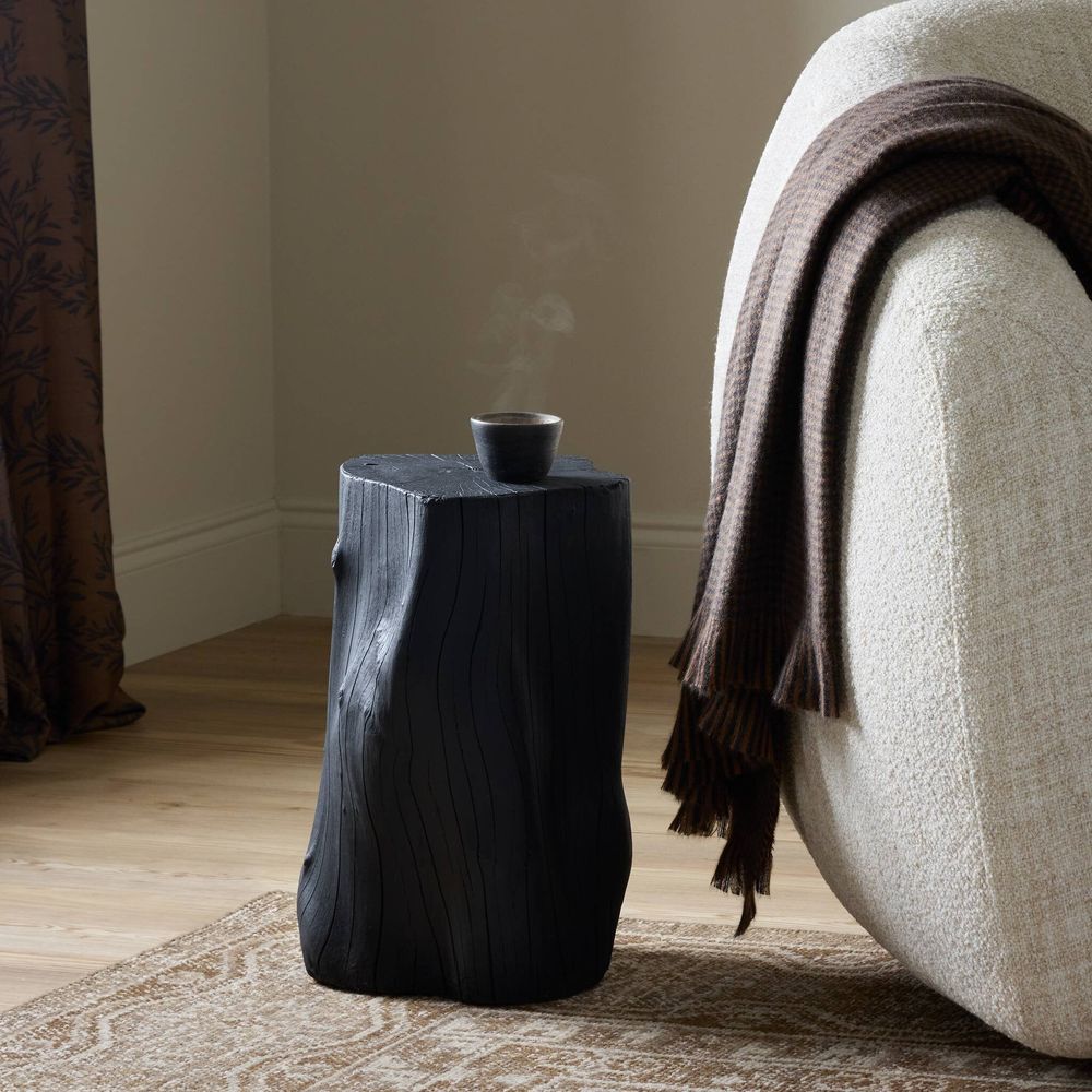Side Tables Amiko End Table - Black Resin