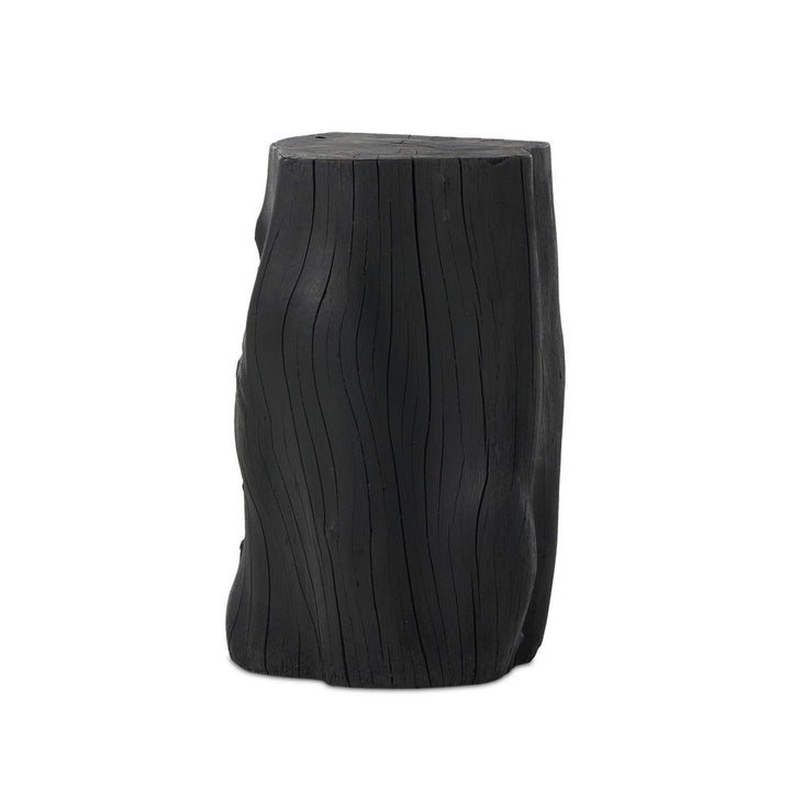 Side Tables Amiko End Table - Black Resin