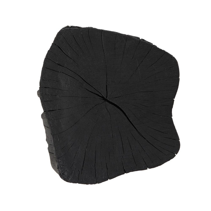 Amiko End Table - Black Resin