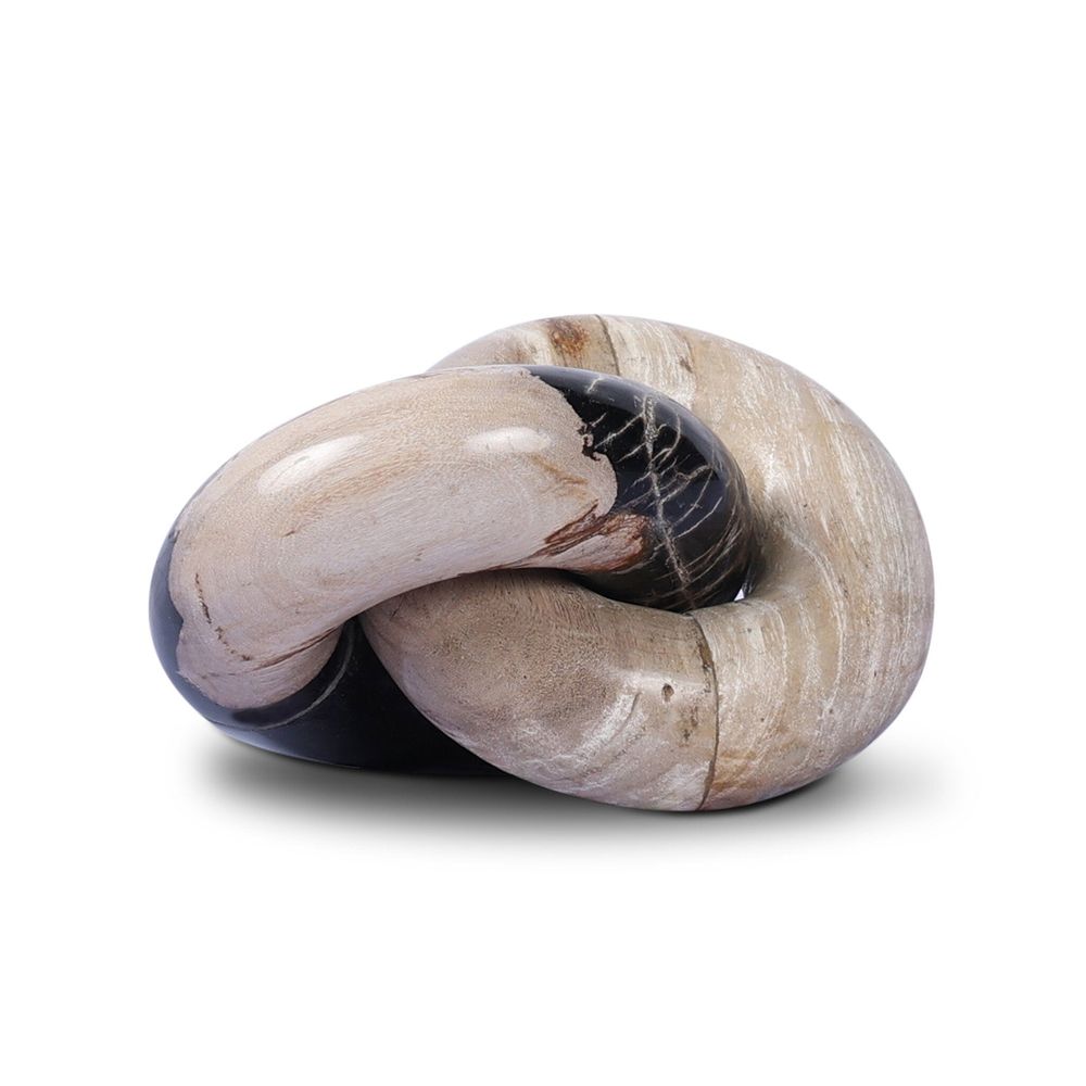 Petrified Wood Knot - Dark Petrified Wood