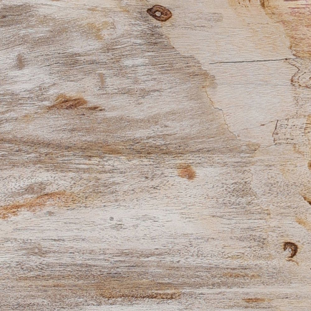Petrified Wood Knot - Dark Petrified Wood