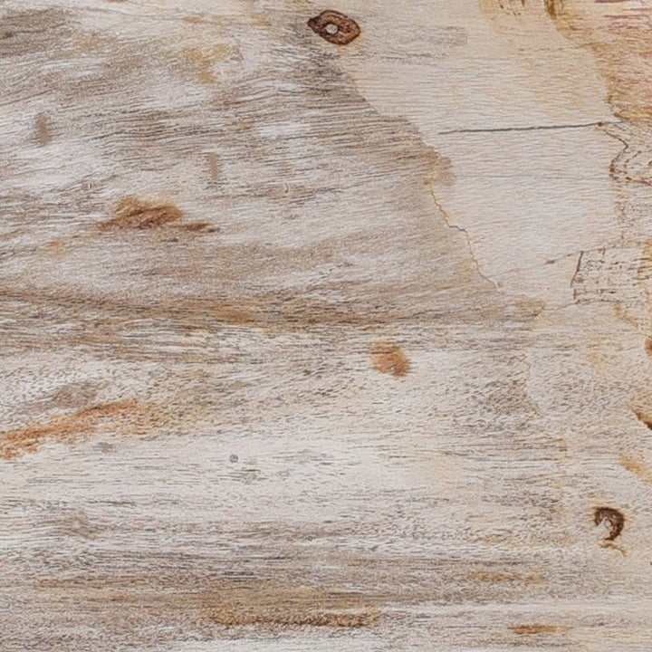 Petrified Wood Knot - Dark Petrified Wood