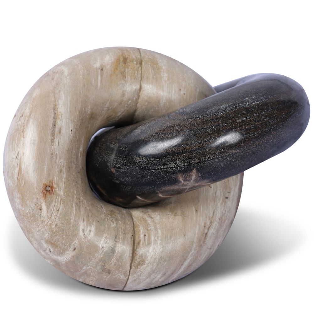 Petrified Wood Knot - Dark Petrified Wood