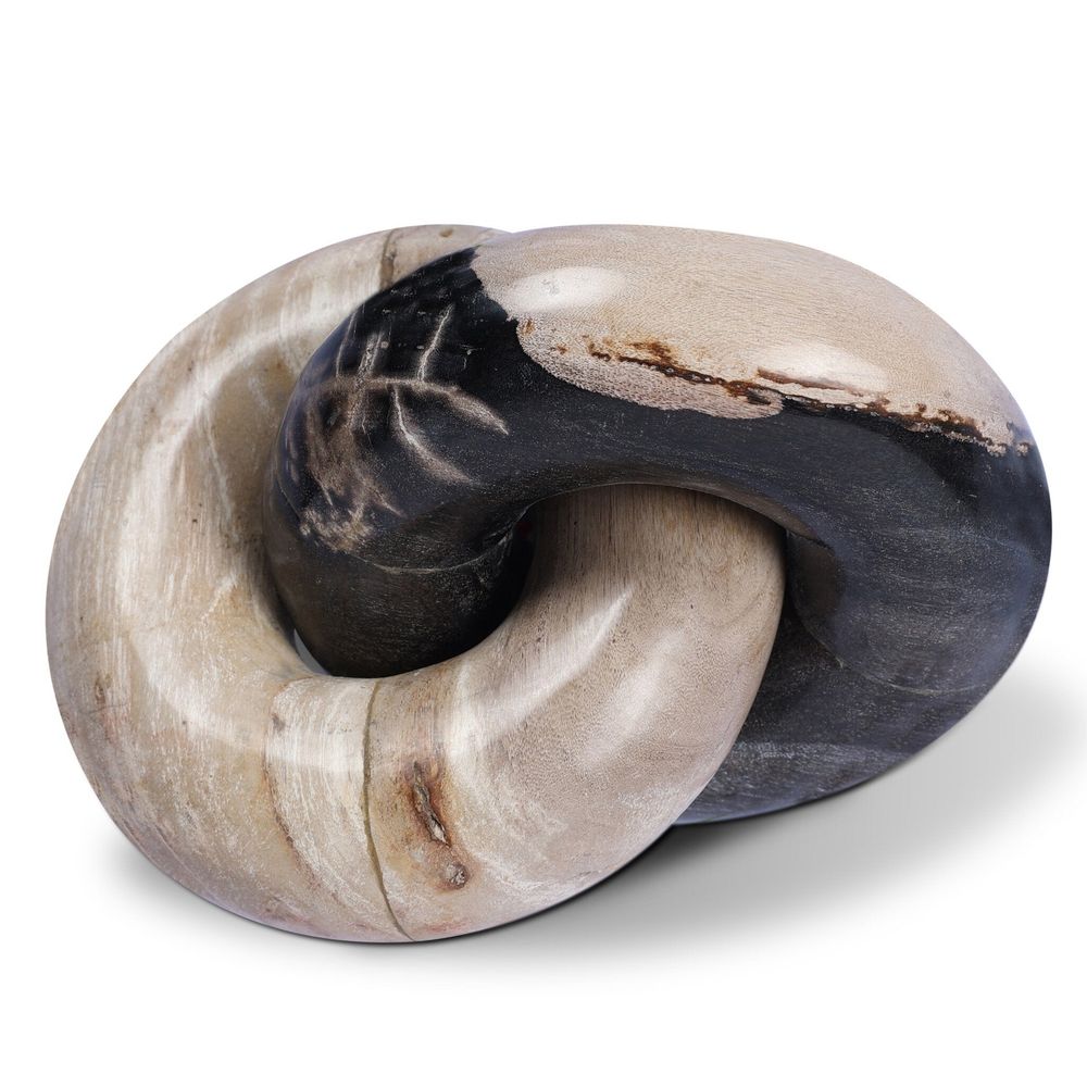 Petrified Wood Knot - Dark Petrified Wood