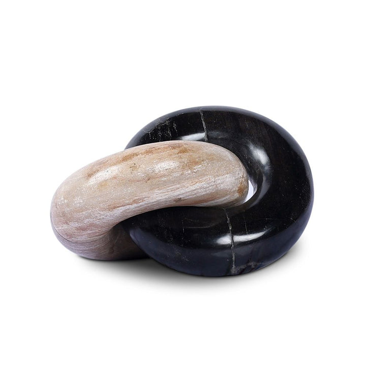 Petrified Wood Knot - Dark Petrified Wood