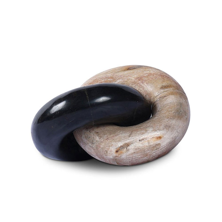 Petrified Wood Knot - Dark Petrified Wood