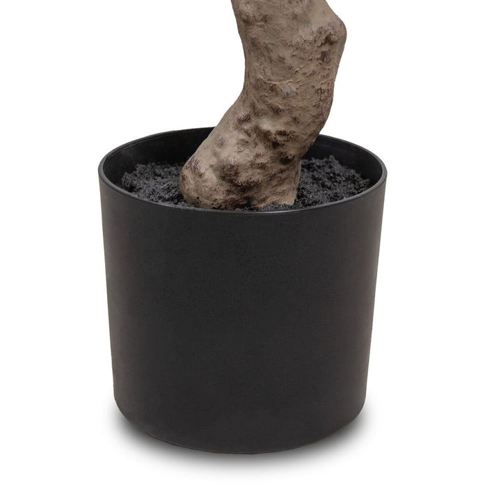 Faux Aralia Tree