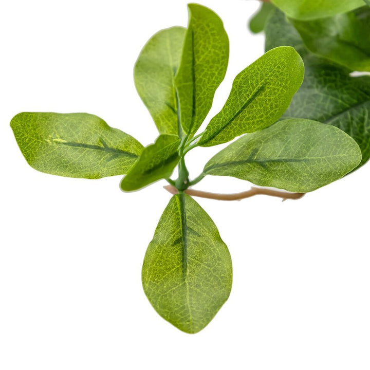 Faux Aralia Tree