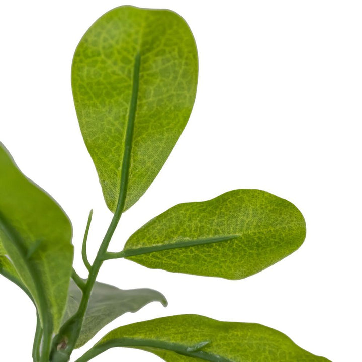 Faux Aralia Tree