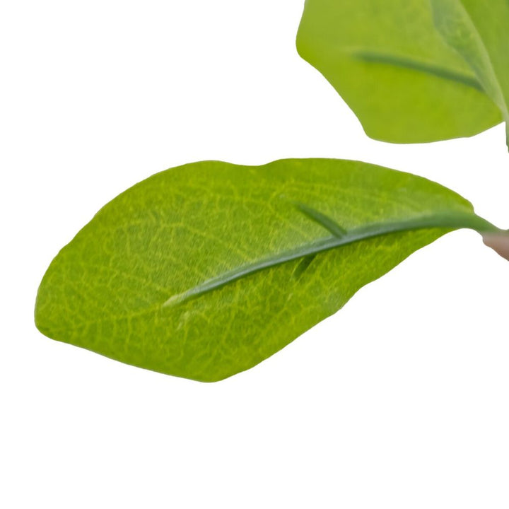 Faux Aralia Tree