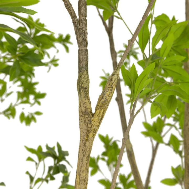 Faux Pieris Tree