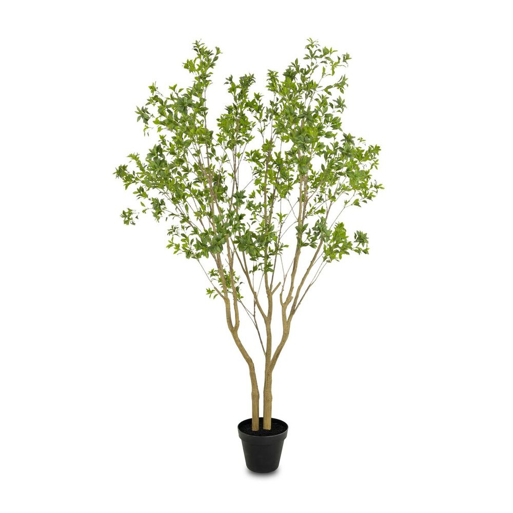 Faux Pieris Tree