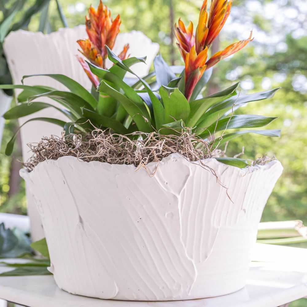 Bowls Textured Bowl, Matte White
