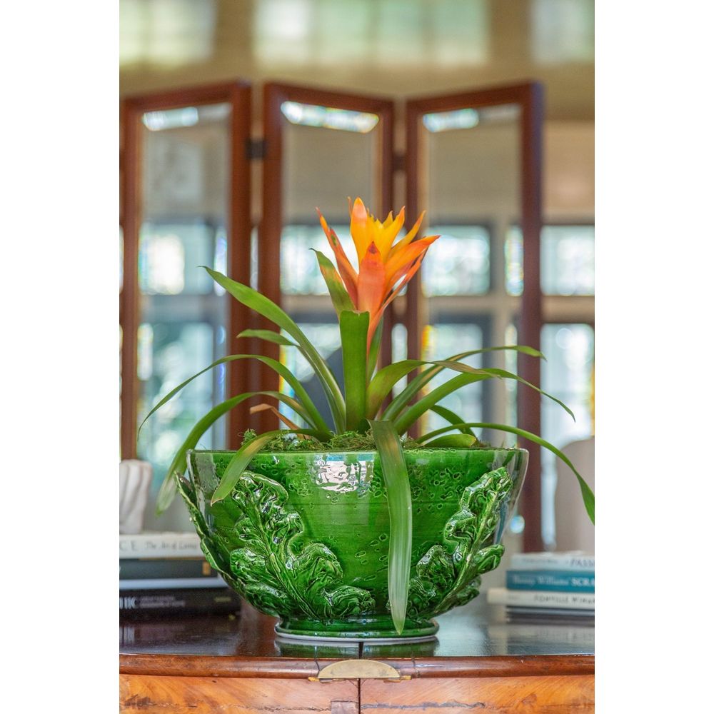 Bowls Greco Bowl, Green Leaves