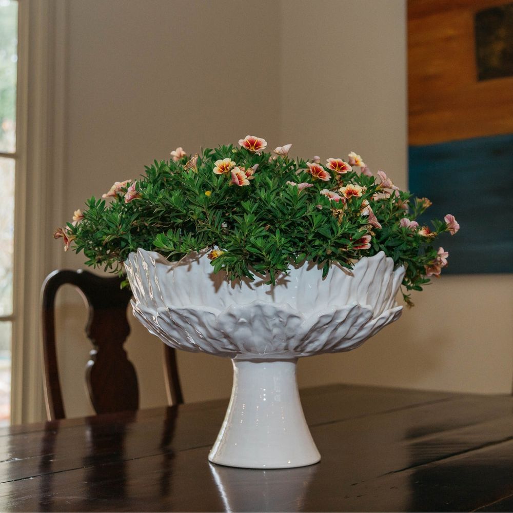Bowls Foliage Footed Compote, White
