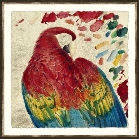 Lewin's Red Parrot-Wendover-WEND-27788-Wall Art-1-France and Son