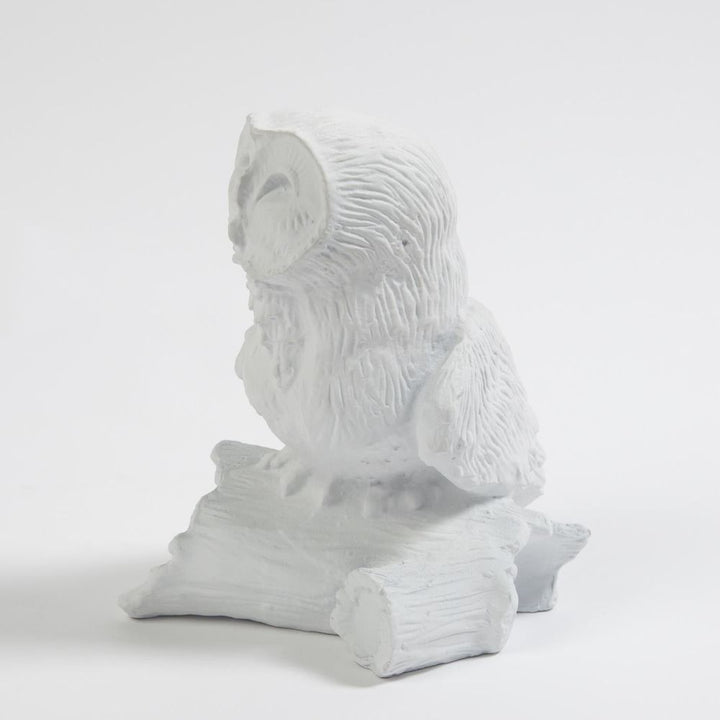 Owl On Branch-Matte White