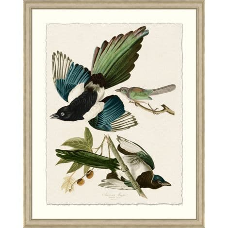 American Magpie-Wendover-WEND-29506-Wall Art-1-France and Son