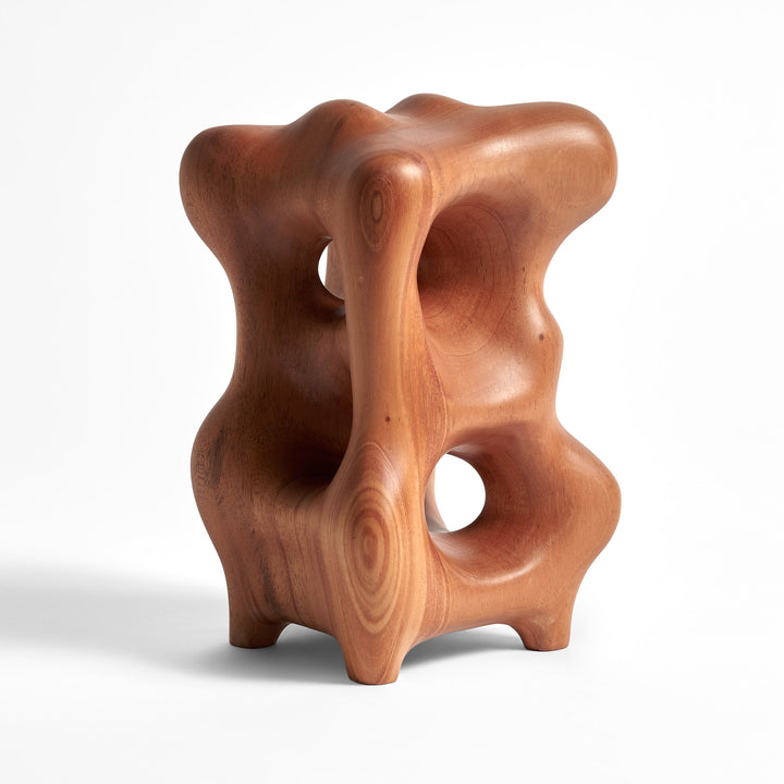 Natural Organic Sculpture - Tan