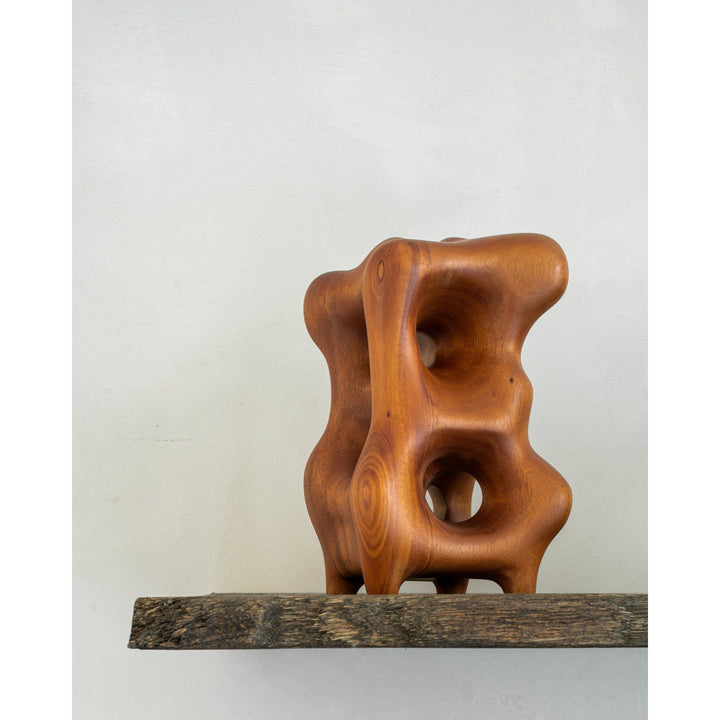 Natural Organic Sculpture - Tan