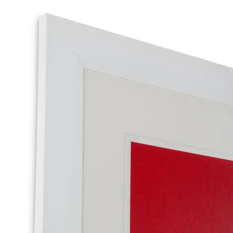Print Silkscreen From Boissière Ii By Henri Boissière - image 2