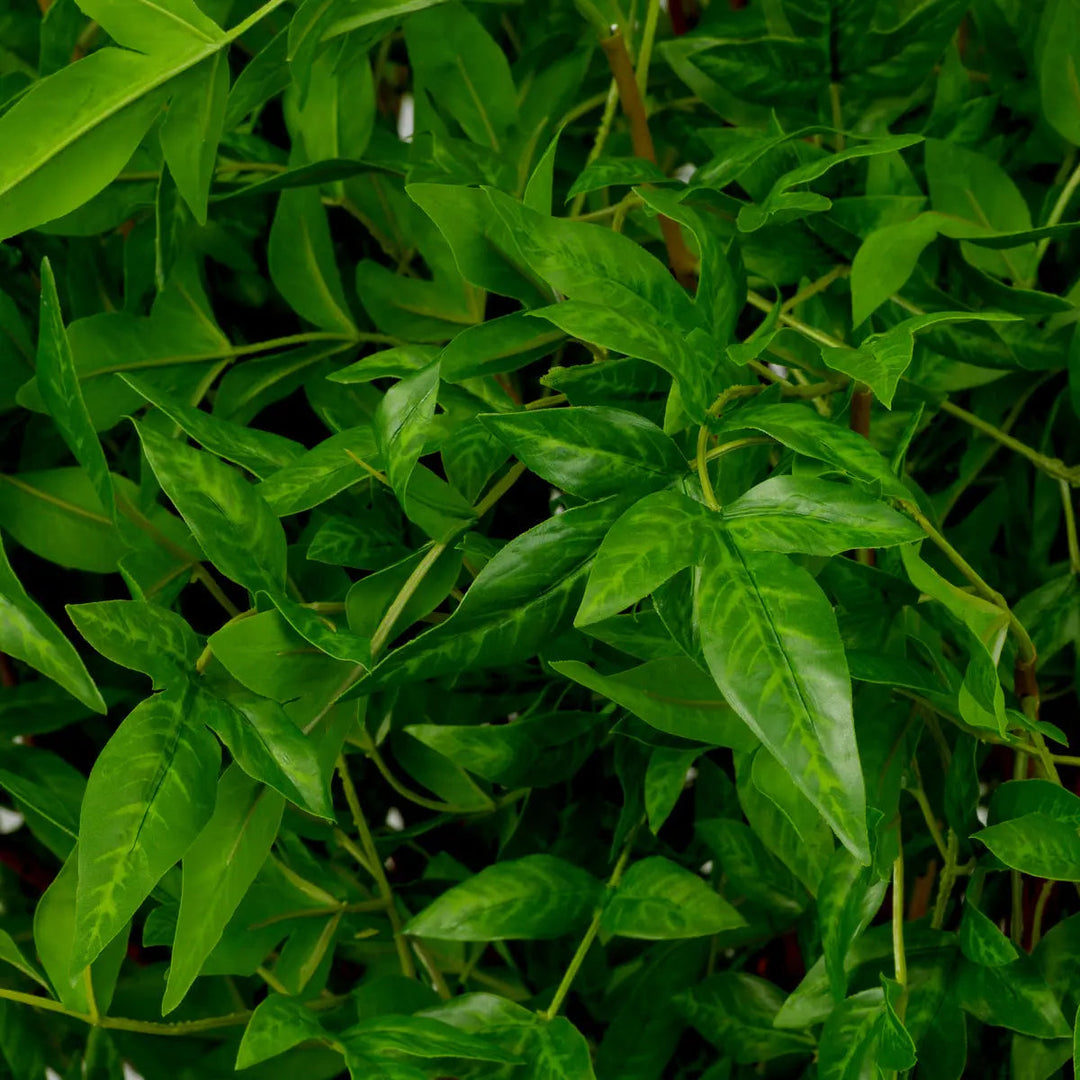 Bundle Of Tender Leaves 36 Pcs - image 2